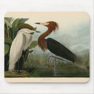 Paarse Heron Audubon-vogelschilderij Muismat
