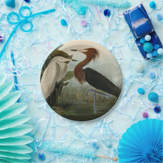 Paarse Heron Audubon-vogelschilderij Papieren Bordje (Feest)