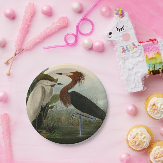 Paarse Heron Audubon-vogelschilderij Papieren Bordje (Feest)