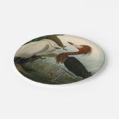 Paarse Heron Audubon-vogelschilderij Papieren Bordje (Gekanteld)