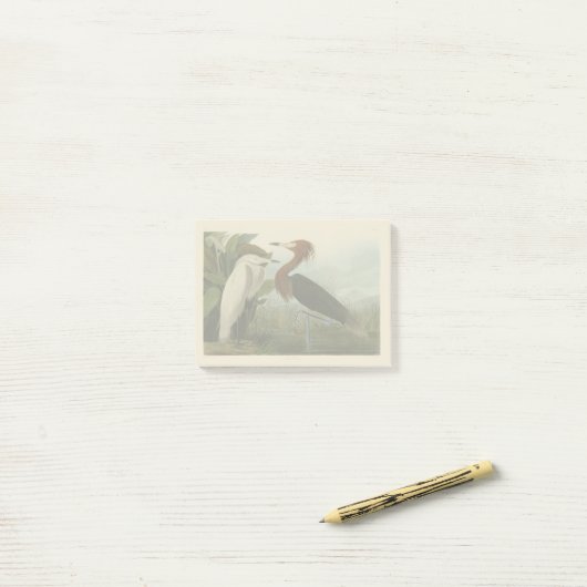 Paarse Heron Audubon-vogelschilderij Post-it® Notes (Op bureau)