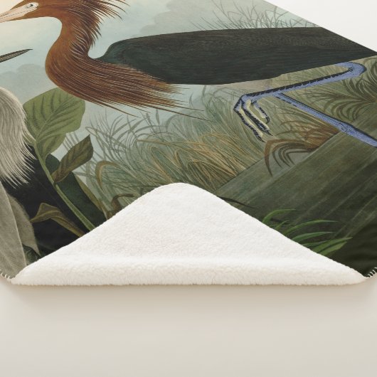 Paarse Heron Audubon-vogelschilderij Sherpa Deken (3/4)