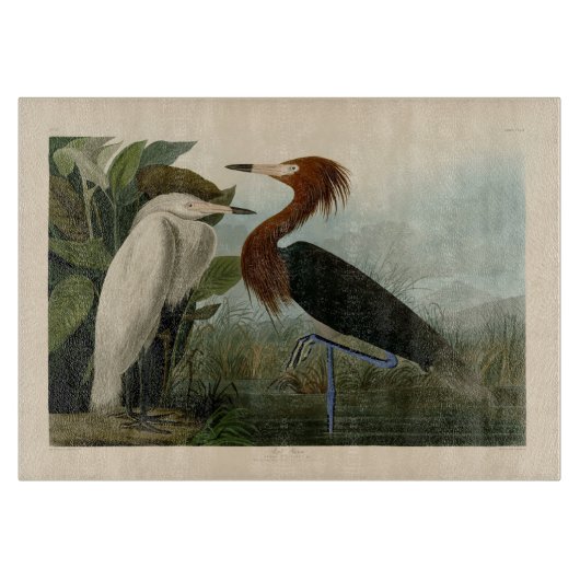 Paarse Heron Audubon-vogelschilderij Snijplank (Voorkant)