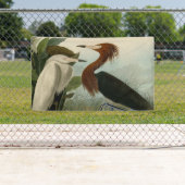 Paarse Heron Audubon-vogelschilderij Spandoek (Insitu)