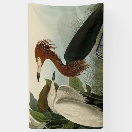 Paarse Heron Audubon-vogelschilderij Spandoek (Verticaal)