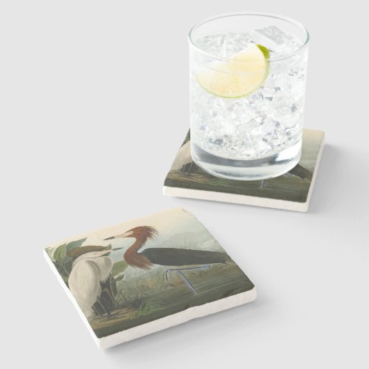 Paarse Heron Audubon-vogelschilderij Stenen Onderzetter (Zijkant)