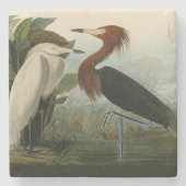 Paarse Heron Audubon-vogelschilderij Stenen Onderzetter (Voorkant)
