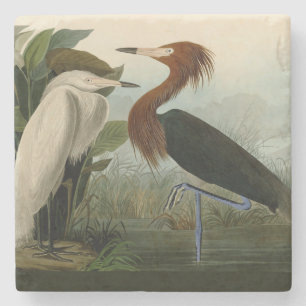 Paarse Heron Audubon-vogelschilderij Stenen Onderzetter