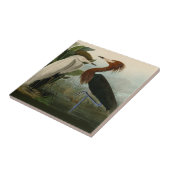 Paarse Heron Audubon-vogelschilderij Tegeltje (Zijkant)