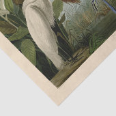 Paarse Heron Audubon-vogelschilderij Tissuepapier (Detail)