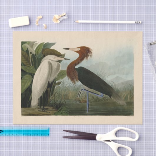 Paarse Heron Audubon-vogelschilderij Tissuepapier (Craft)