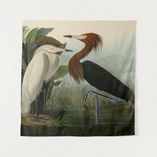 Paarse Heron Audubon-vogelschilderij Wandkleed (Voorkant)