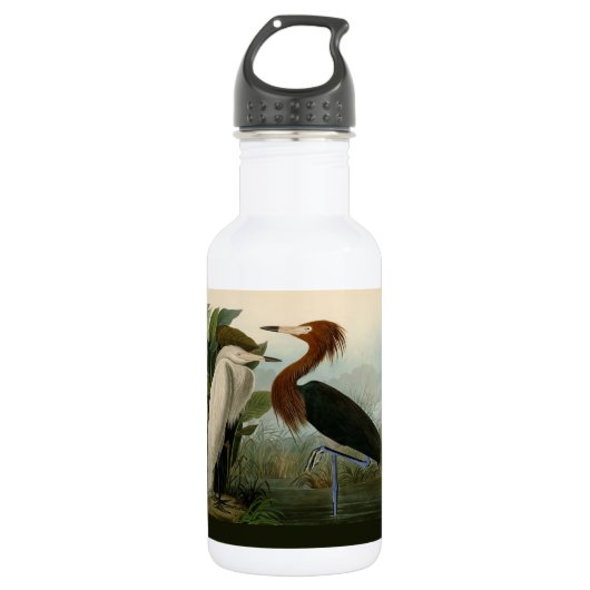 Paarse Heron Audubon-vogelschilderij Waterfles (Voorkant)