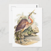 Paarse Heron (met vis) kunst van Elizabeth Gwillim Briefkaart (Voorkant / Achterkant)
