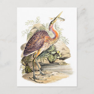 Paarse Heron (met vis) kunst van Elizabeth Gwillim Briefkaart