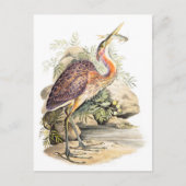 Paarse Heron (met vis) kunst van Elizabeth Gwillim Briefkaart (Voorkant)