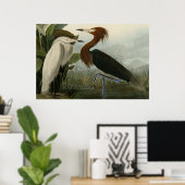 Paarse Heron Poster (Thuiskantoor)
