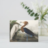 Paarse Heron uit de Amerikaanse vogelstand Briefkaart (Staand voorkant)