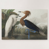 Paarse Heron uit de Amerikaanse vogelstand Legpuzzel (Horizontaal)