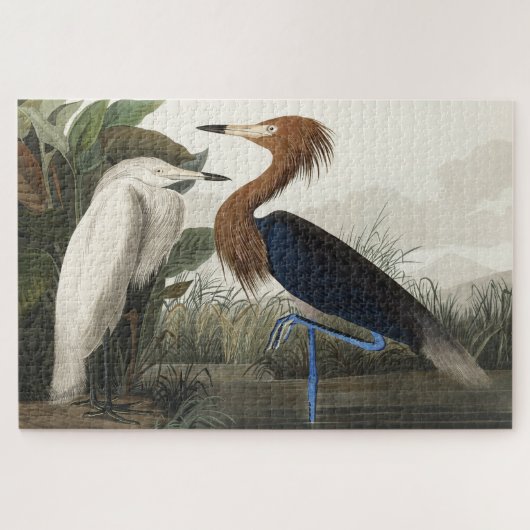 Paarse Heron uit de Amerikaanse vogelstand Legpuzzel (Horizontaal)