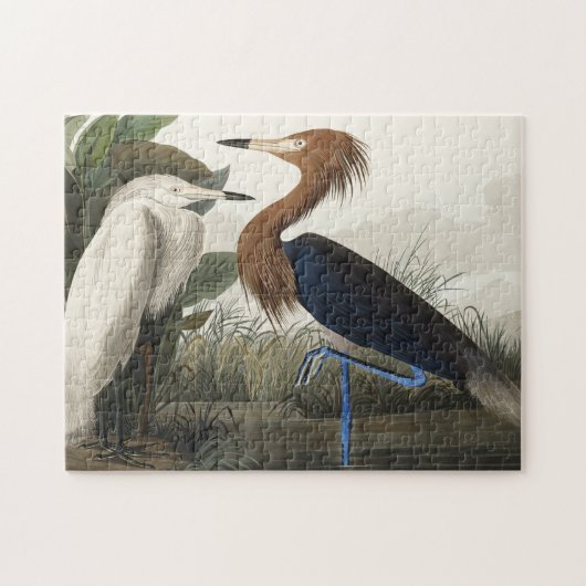 Paarse Heron uit de Amerikaanse vogelstand Legpuzzel (Horizontaal)