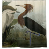 Paarse Heron - van Audubon's vogels van Amerika Sh Douchegordijn (Voorkant)