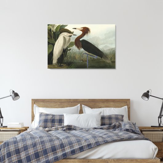 Paarse Heron - van de Amerikaanse vogels van Audub Canvas Afdruk (Insitu (Slaapkamer))