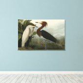 Paarse Heron - van de Amerikaanse vogels van Audub Canvas Afdruk (Insitu (Houten vloer))