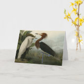 Paarse Heron - van de Amerikaanse vogels van Audub Kaart (Gele Bloem)