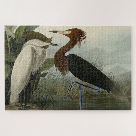 Paarse Heron - van de Amerikaanse vogels van Audub Legpuzzel (Horizontaal)