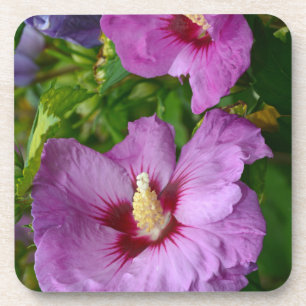 Paarse hibiscus bloemen drankjes onderzetter