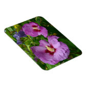 Paarse hibiscus bloemen magneet (Rechterzijde)