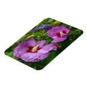 Paarse hibiscus bloemen magneet (Linkerzijde)