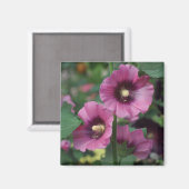 Paarse hibiscus bloemen magneet (Voorkant / Achterkant)