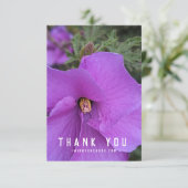 Paarse Hibiscus Flower Closeup (Staand voorkant)