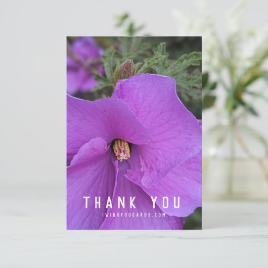 Paarse Hibiscus Flower Closeup (Staand voorkant)