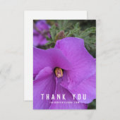 Paarse Hibiscus Flower Closeup (Voorkant / Achterkant)