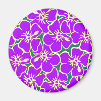 Paarse Hibiscus Flowers Tropisch Hawaiian Luau