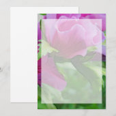 Paarse hisbiscus bloemen (Voorkant / Achterkant)