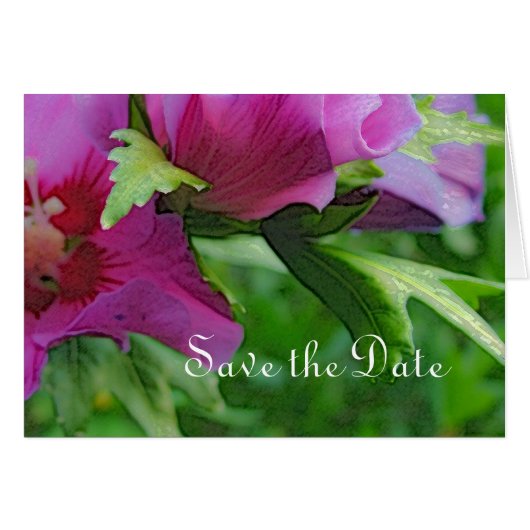 Paarse hisbiscus bloemen (Voorkant Horizontaal)