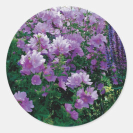 Paarse hisbiscus bloemen ronde sticker