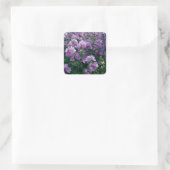 Paarse hisbiscus bloemen vierkante sticker (Tas)