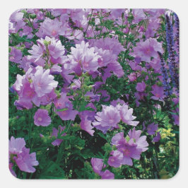 Paarse hisbiscus bloemen vierkante sticker