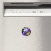 Paarse hoge bebaarde irismagneet magneet (Insitu (Vaatwasser))