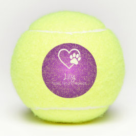 Paarse Hond Naam Tennisbal 'gooien, apporteren, he Tennisballen