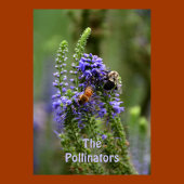 Paarse "HoneyBee" en "Bumblebee" Pollinators Poster