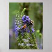 Paarse "HoneyBee" en "Bumblebee" Pollinators Poster (Voorkant)