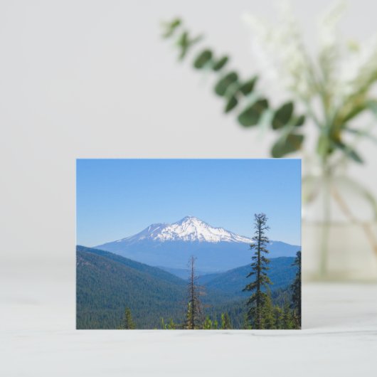 Paarse Hoogheid (Mount Shasta, CA) Briefkaart (Staand voorkant)