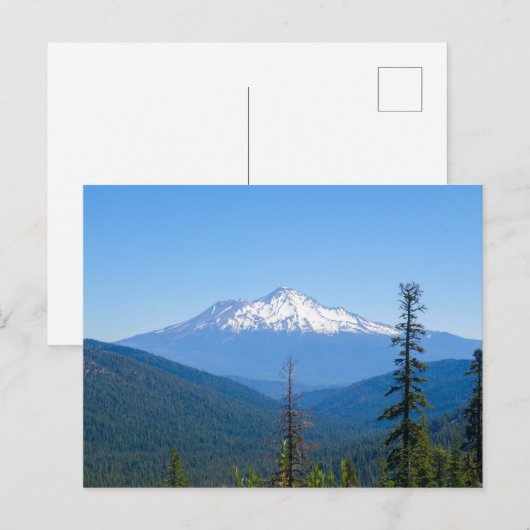 Paarse Hoogheid (Mount Shasta, CA) Briefkaart (Voorkant / Achterkant)