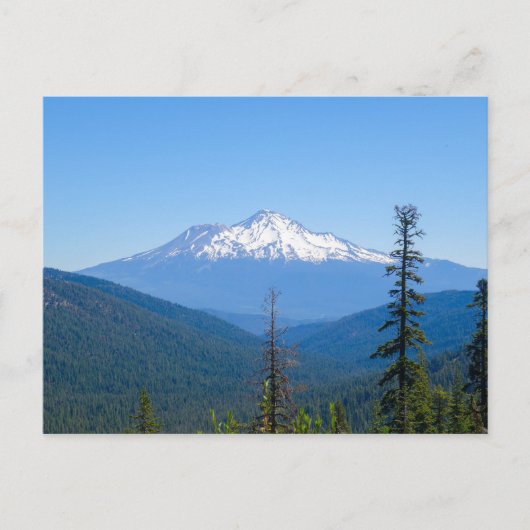 Paarse Hoogheid (Mount Shasta, CA) Briefkaart (Voorkant)